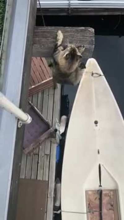 Хоба