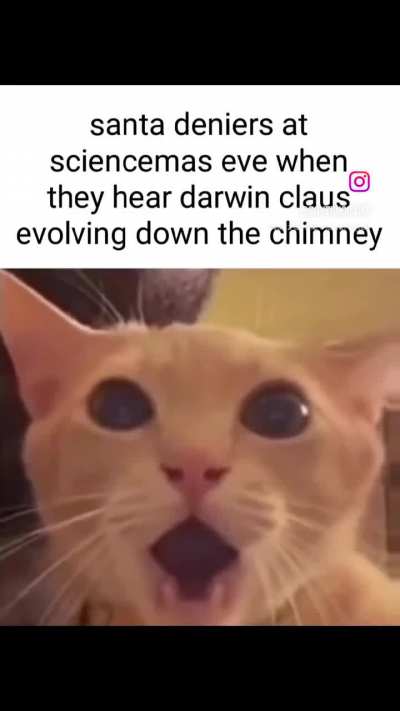 Losercity science 