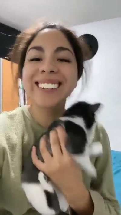 AAA