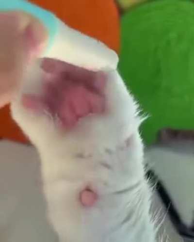 The way it opens up