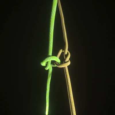 Ropes!