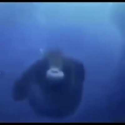 monke