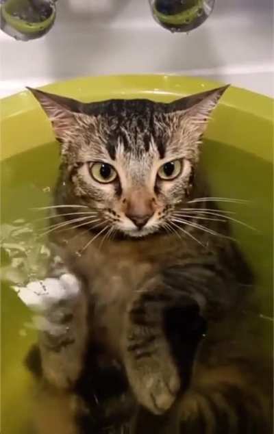 Spa day