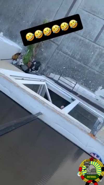 La aer liber pe balcon