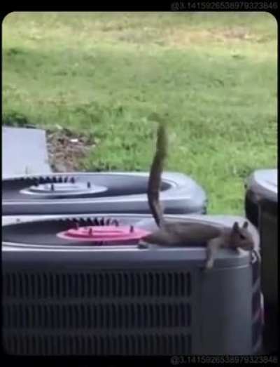 Wait for it! Wait for it!