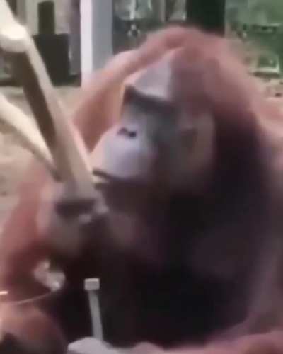 ?¿
