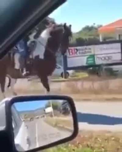 This horse is a dope!