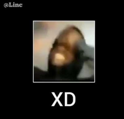 XD 😵 kkkk