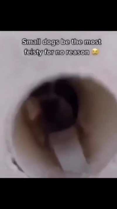 An interesting title