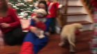 Family surprises Dad with a puppy