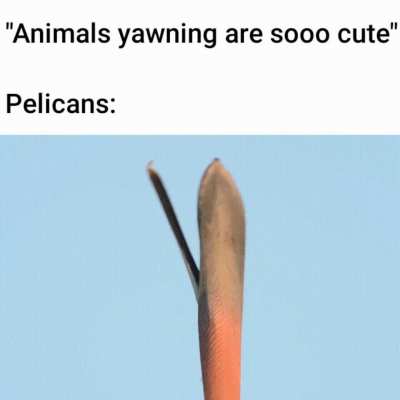 Soo cute