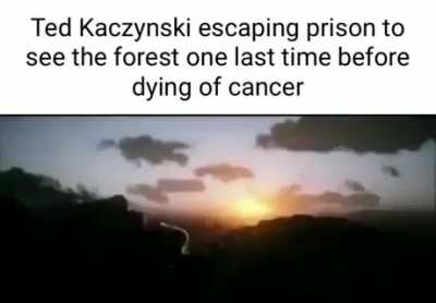 Zaddy zed 