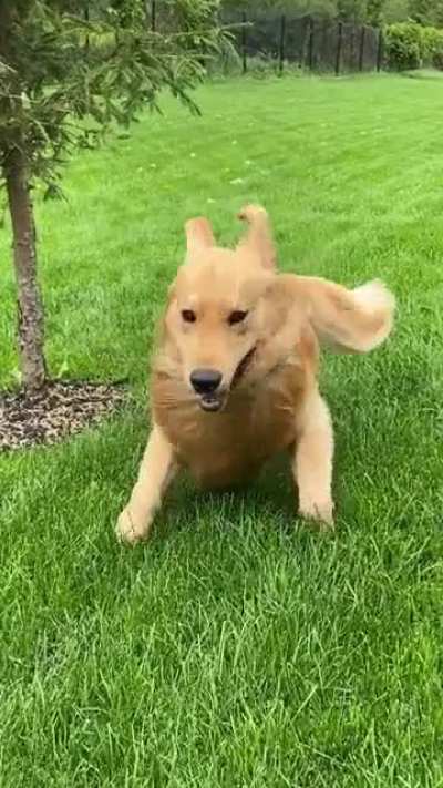 Activate Derp Mode!