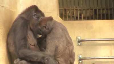 Giving momma love