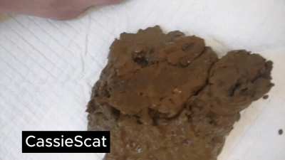 Post Road Trip Standing Poop Full of Food [GIF]