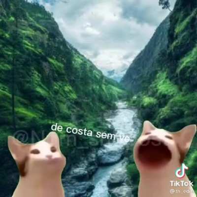 Óia a predaaaaaaa