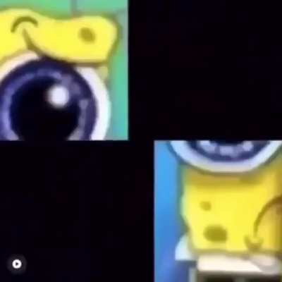 Spong