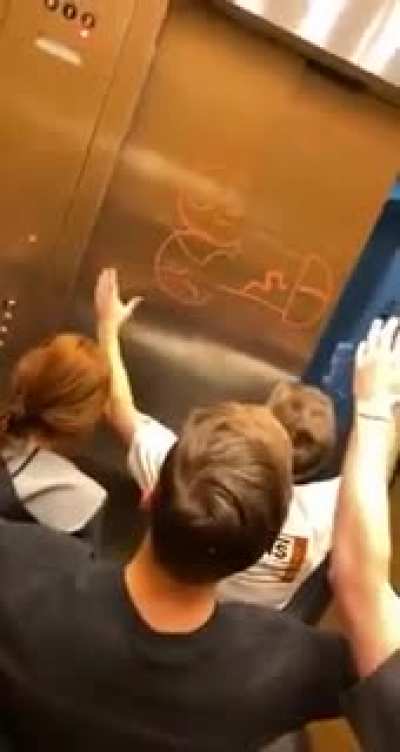 Blursed elevator door