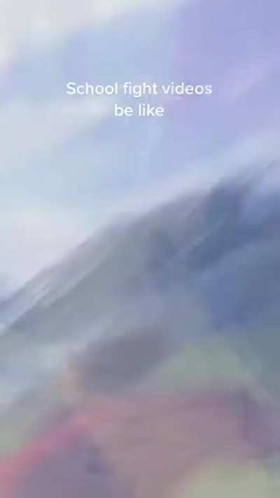 Broke the sound barrier