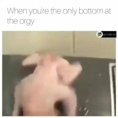 🐔