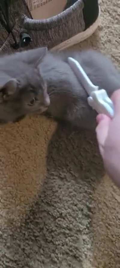 Oh no.