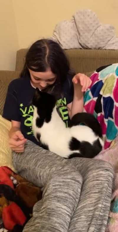 When the cat decides who her favorite in the household is