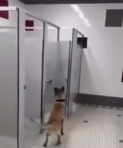 Some privacy please