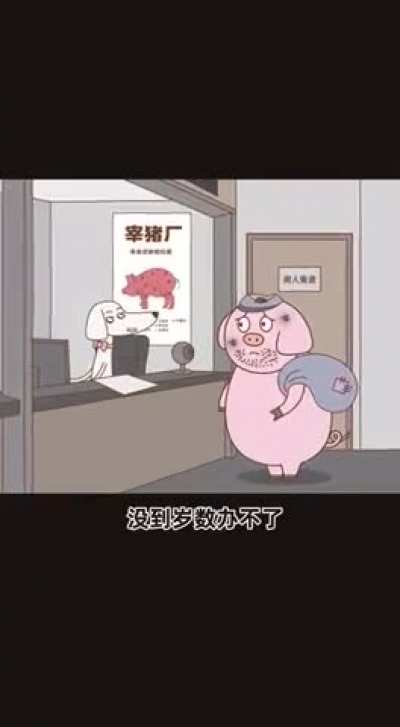 看一回典一<wbr>回