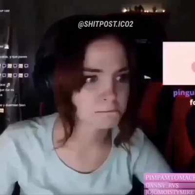 Xd