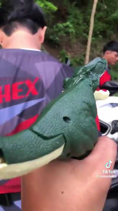 Dino