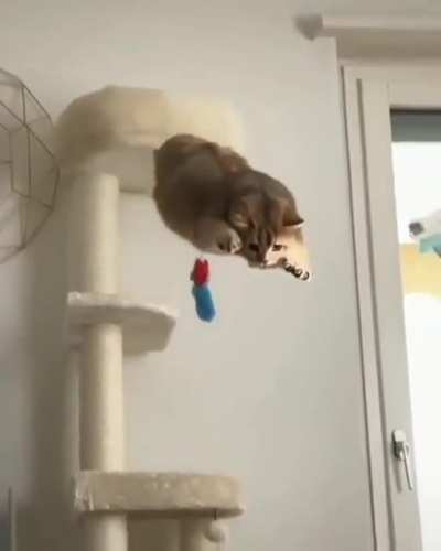 to land safely