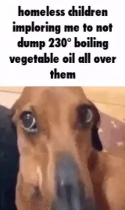 plz sir have mercy