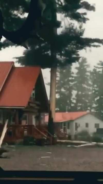 One tree one lightning