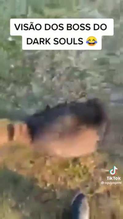 e tá errado?