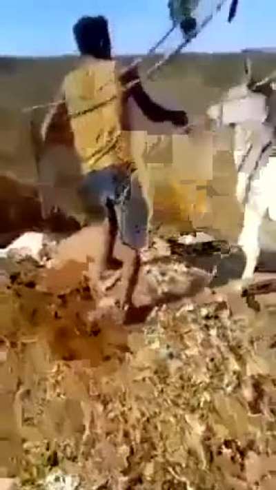 What a jackass!