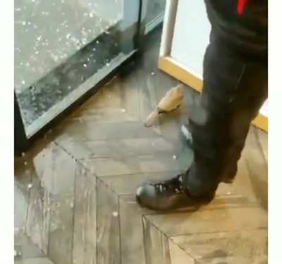 Pigeon wants to come inside to save itself from hail