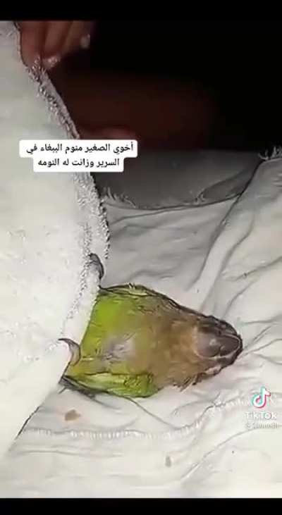 just let me fucking sleep