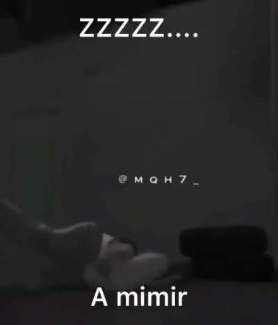 🤫🤫🤫silêncio