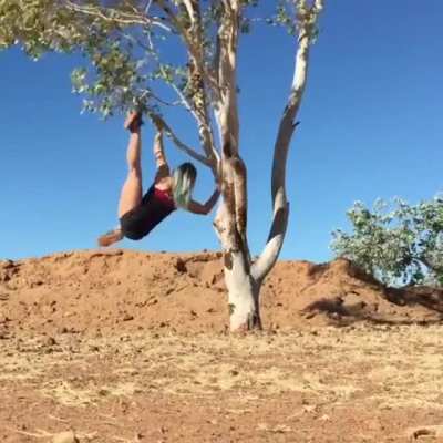 Climbing trees