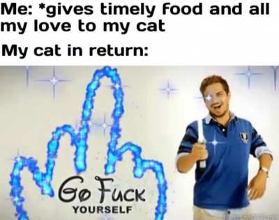 DISNEY'S ORIGINAL INTRO