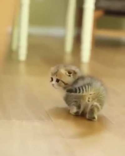 Немного милоты