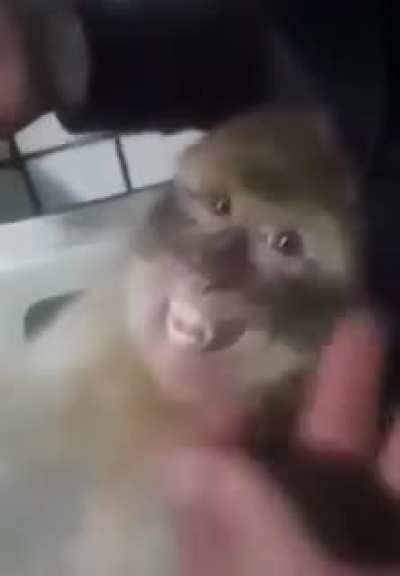 Mono