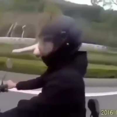 Pipi pupu