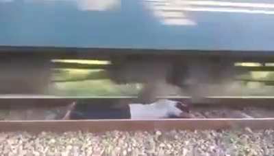 Choo Choo