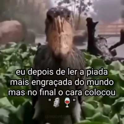 eu_nvr