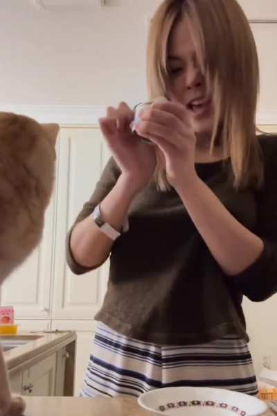 BIBI