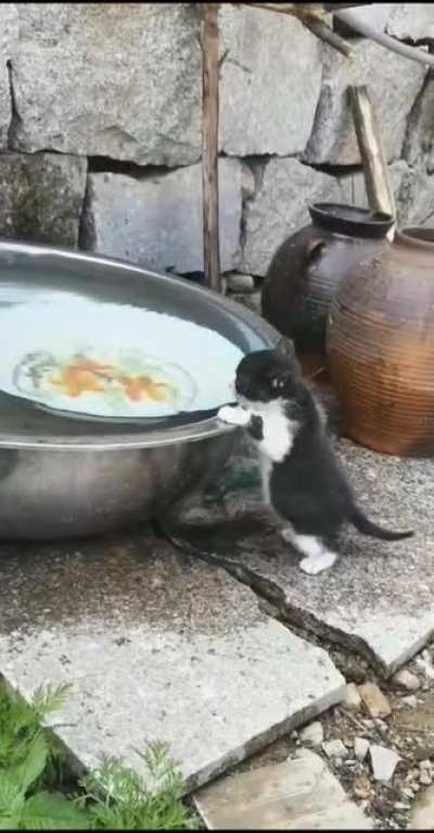 Illegally smol drink
