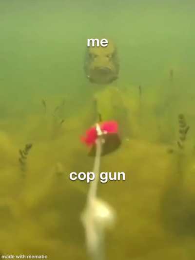 Plans for this year