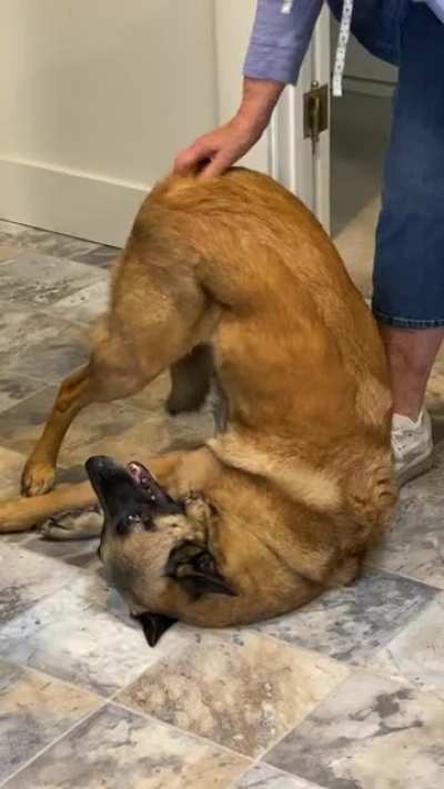 She really loves a butt scratch.