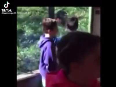 Poor quality monke.